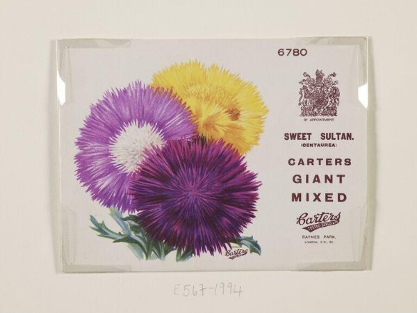 Unknown, Sweet Sultan (Centaurea) Carters Giant Mixed.