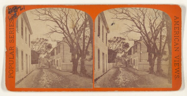 Edward and Henry T. Anthony & Co., St. Georges Street. [St. Augustine, Florida]