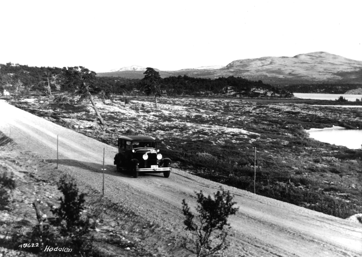 Anders Beer Wilse, Landskap, Hodalen, Samfresel, bil