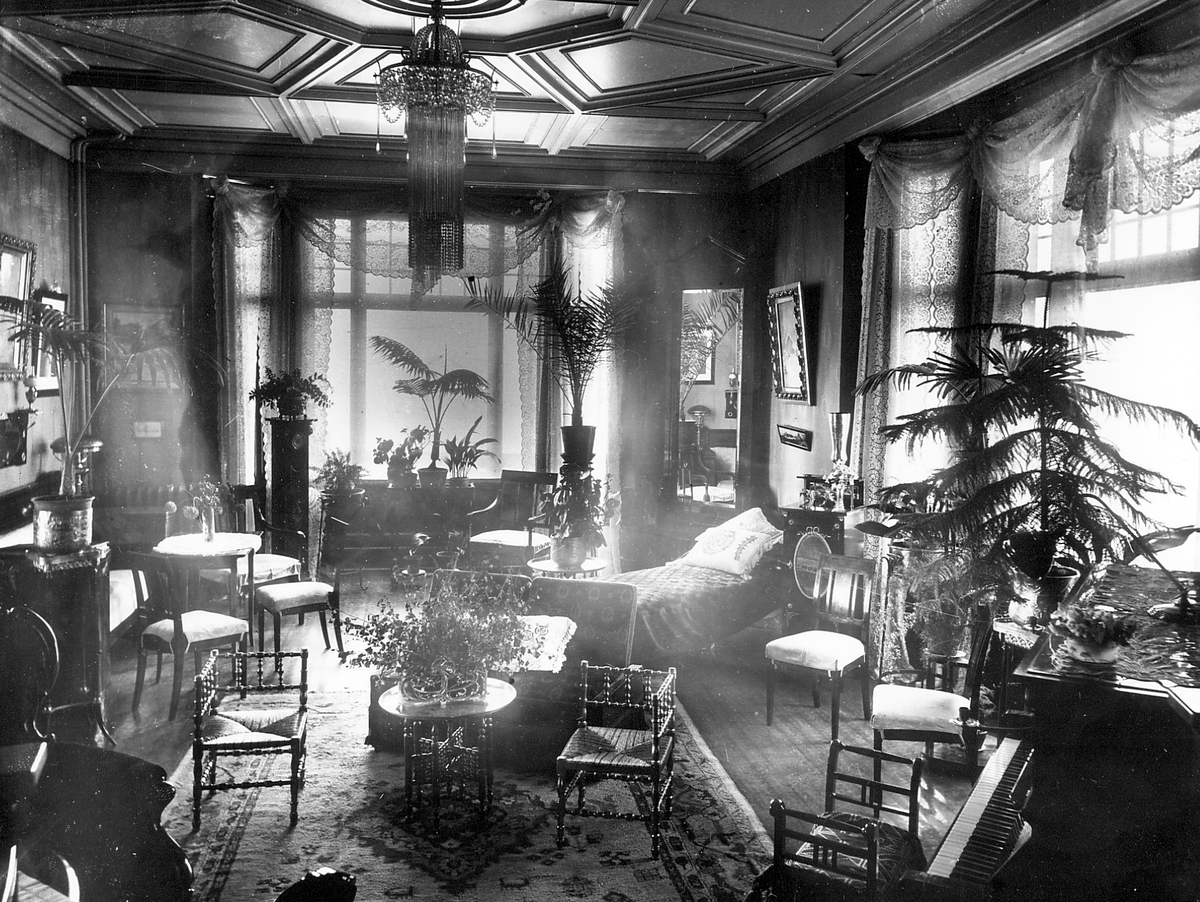 Anders Beer Wilse, Prot: Bergensbanen Finse Hotell Salongen