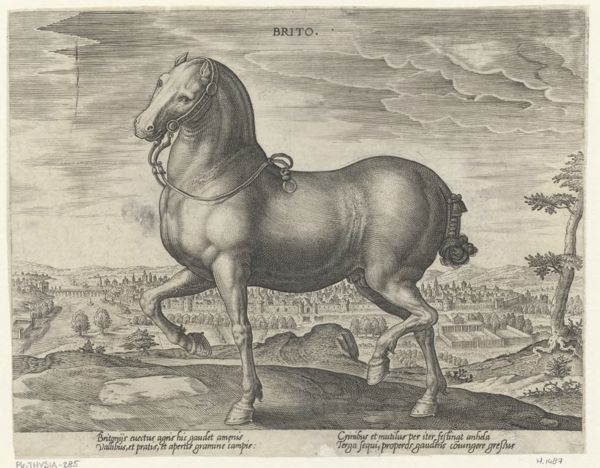 Collaert, Hans, (approximately 1530-1581), (printmaker), The stable of Don Juan of Austria: Brito
