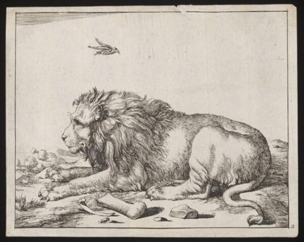 Unknown, Print