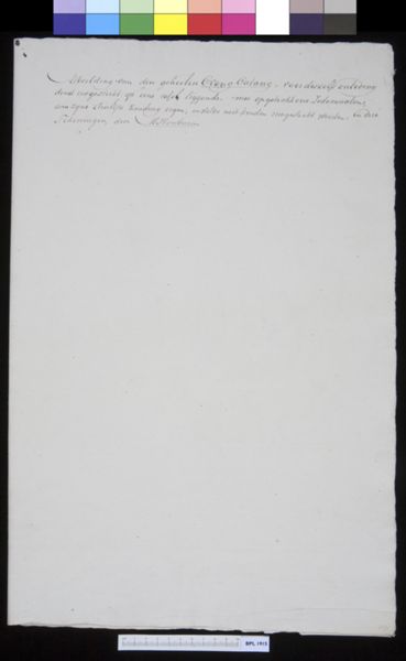 M Houtman, Animals: Orangutan (upper part of the body)