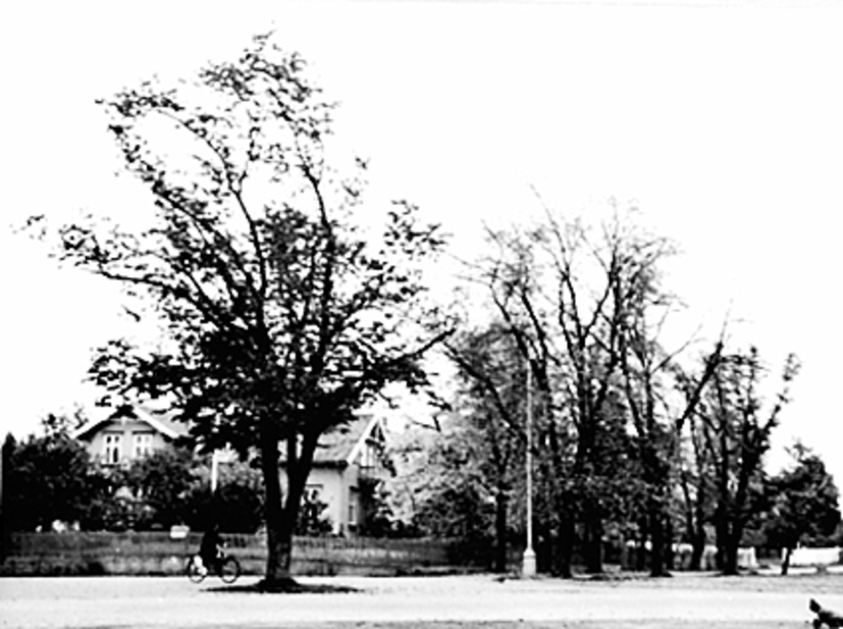 Anno Domkirkeodden, EKSTERIØR PARKGATA 42, PLASSEN FORAN CHRISTIESGATE 51-55