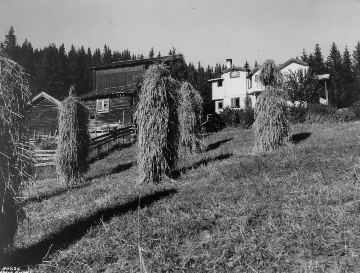 Anders Beer Wilse, Skredsvigs hjem, Landbruk