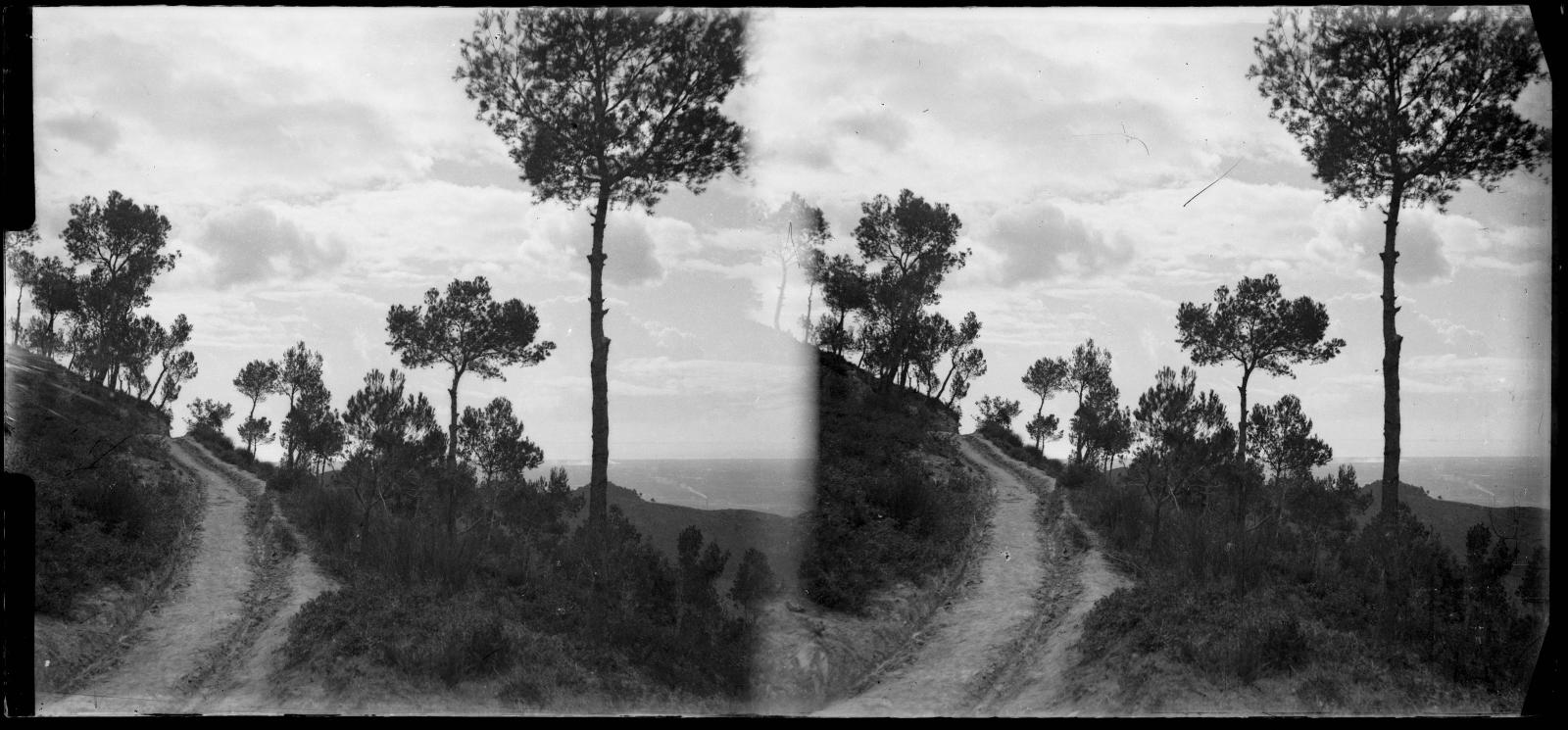 Desconegut, [Camí a Santa Creu d'Olorda]
