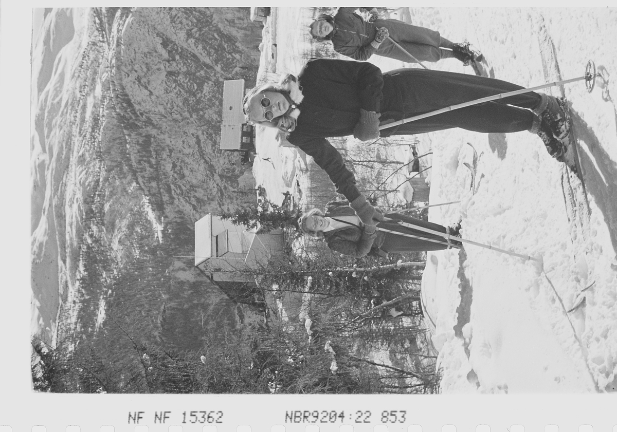 Anders Beer Wilse, Prot: Skidamer opover fra Gvepseborg