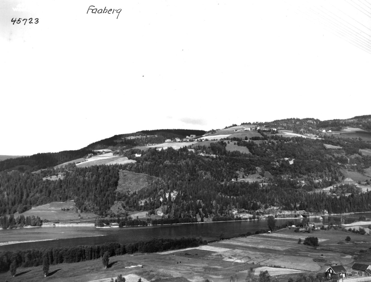 Anders Beer Wilse, Oversiktsbilde, Lågen
