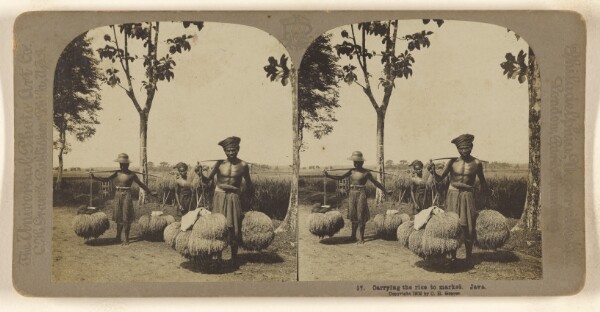 Carleton H. Graves, Carrying the rice to market. Java.
