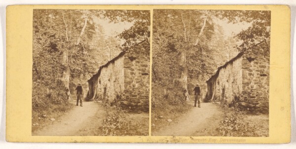 Unknown, Near Derwent Bay, Derwentwater