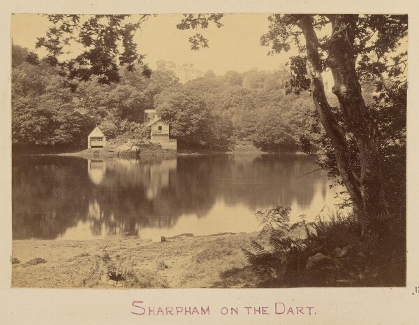 Unknown, Sharpham on the Dart