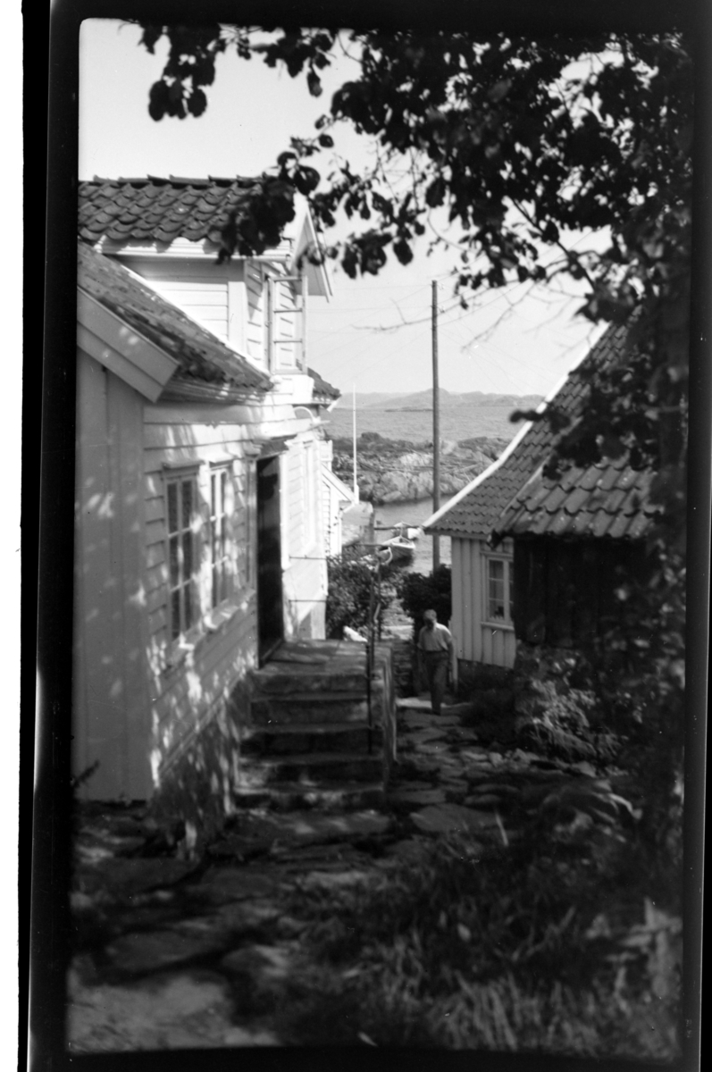 Rolf Sr. Sundt, NF.34664-682