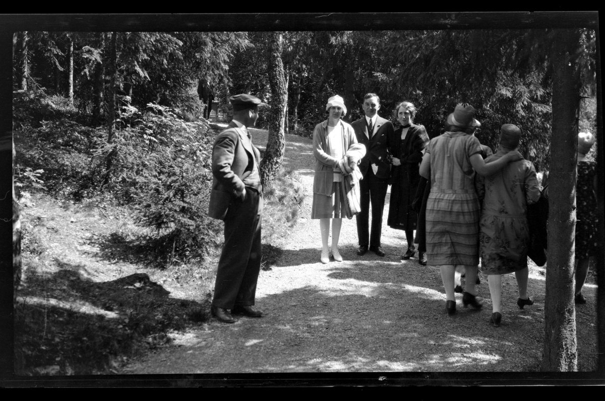 Rolf Sr. Sundt, NF.34664-245