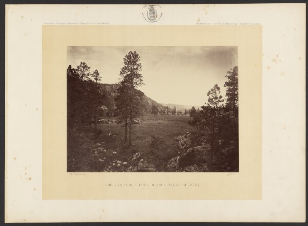 Timothy H. O'Sullivan, Cooley's Park, Sierra Blanca Range, Arizona