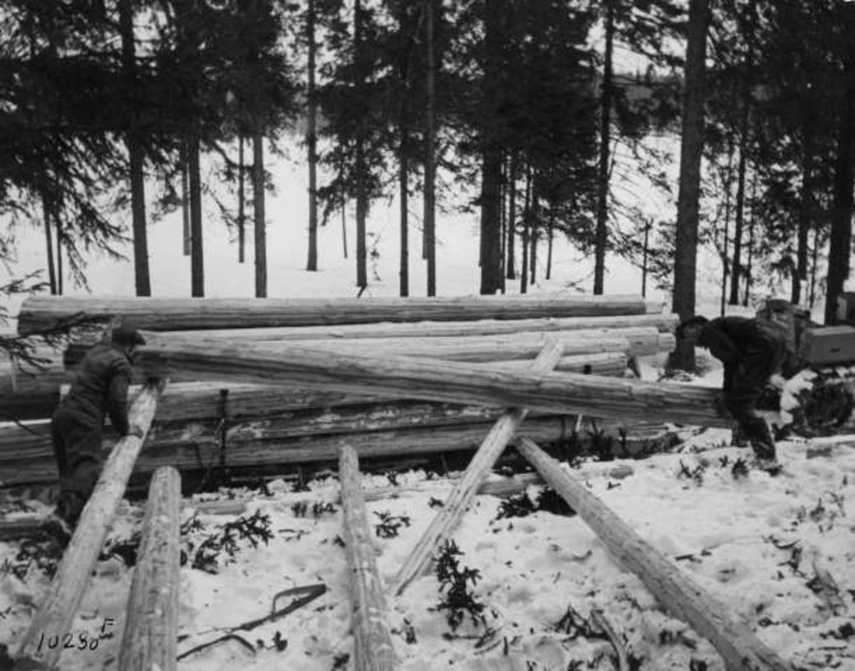 Anders Beer Wilse, -8561