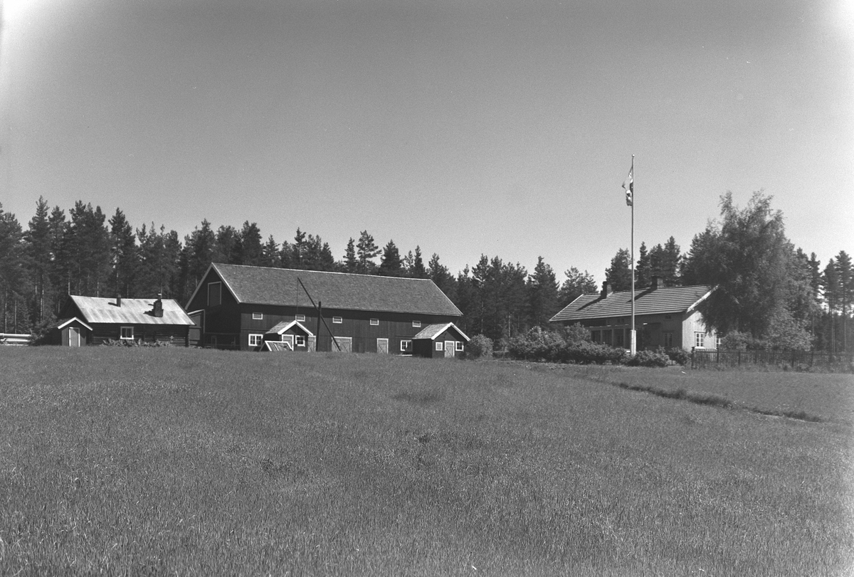 Anno Domkirkeodden, EKSTR: GARDSTUN, SKOGSRUD, LØTEN. Se Løtenboka, bind 3. Bygdeboka fra 1955, side 870
