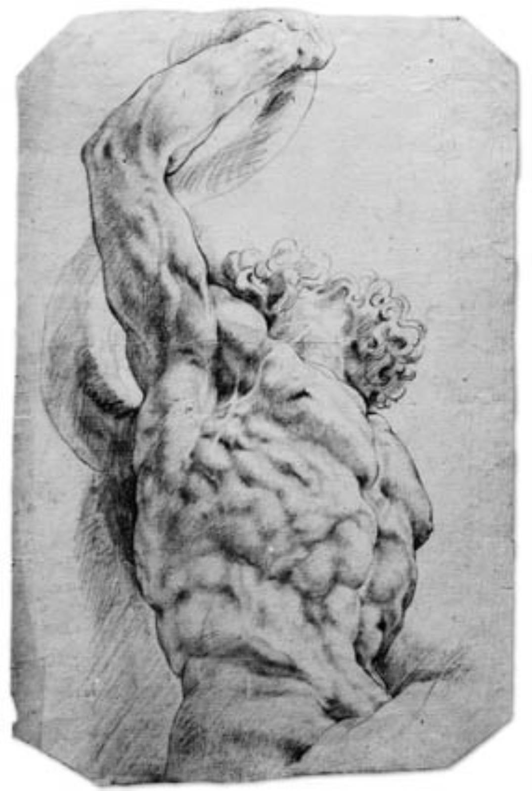 Peter Paul Rubens, Laokoon - kopi efter Rubens