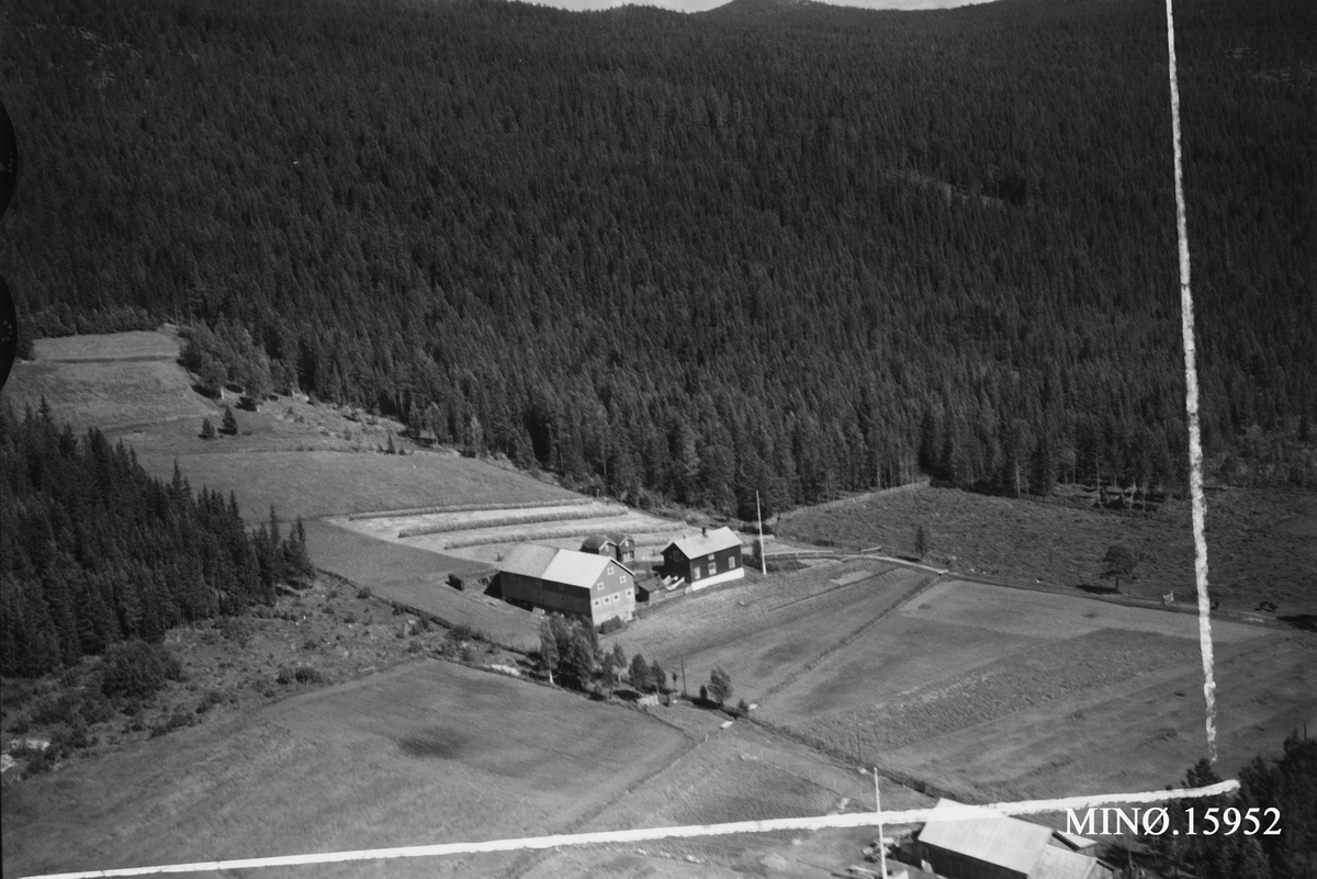 Widerøes Flyveselskap A/S, Gardsbruk, Nestebytrøen