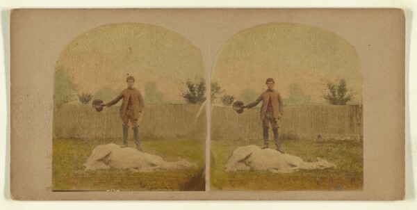 London Stereoscopic and Photographic Company, [Sterescopic Illustration of Horse Taming.]