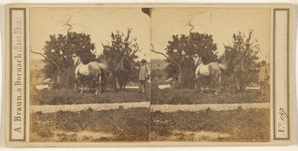 Adolphe Braun, [Man with bridled horses]