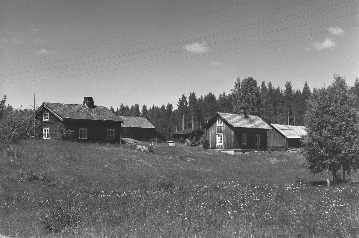 Anno Domkirkeodden, EKSTR: GARDSTUN, SANDÅKER, LØTENSANDAAKER. Se Løtenboka, bind 3. Bygdeboka fra 1955, side 852