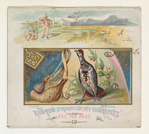 Allen & Ginter, Canada Grouse, from the Game Birds series (N40) for Allen & Ginter Cigarettes