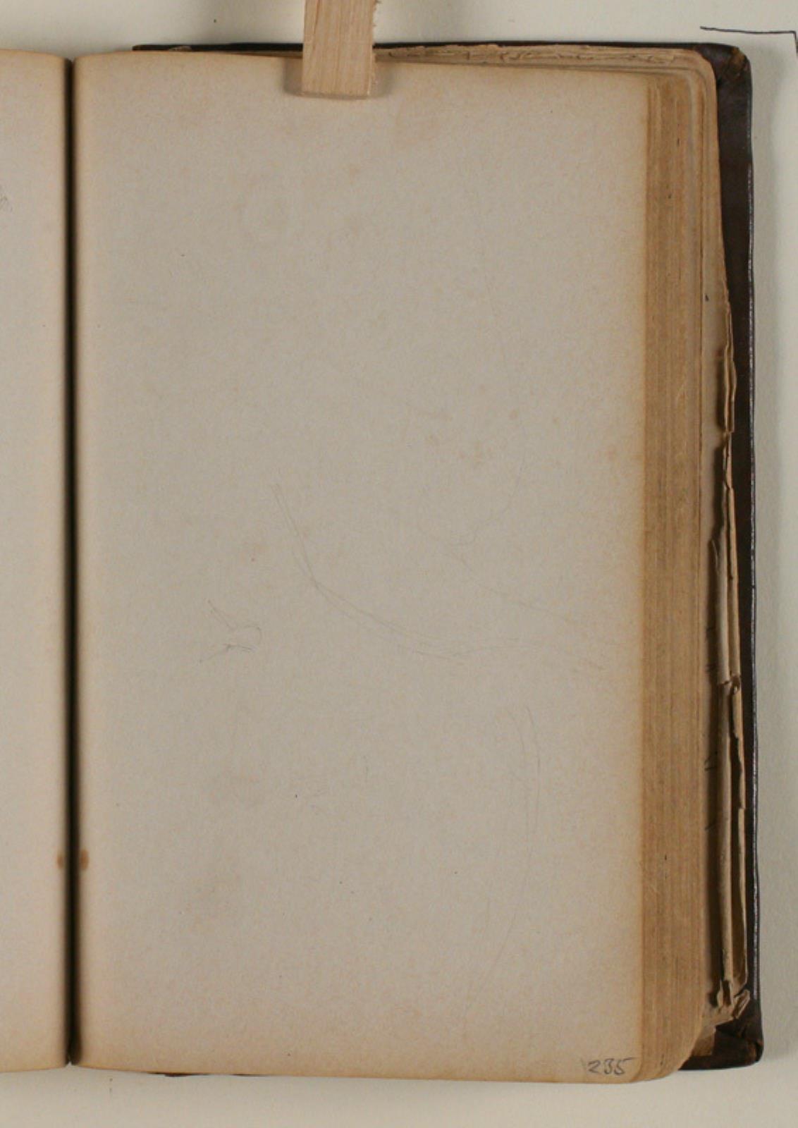 Niels Larsen Stevns, Studier af fugle
