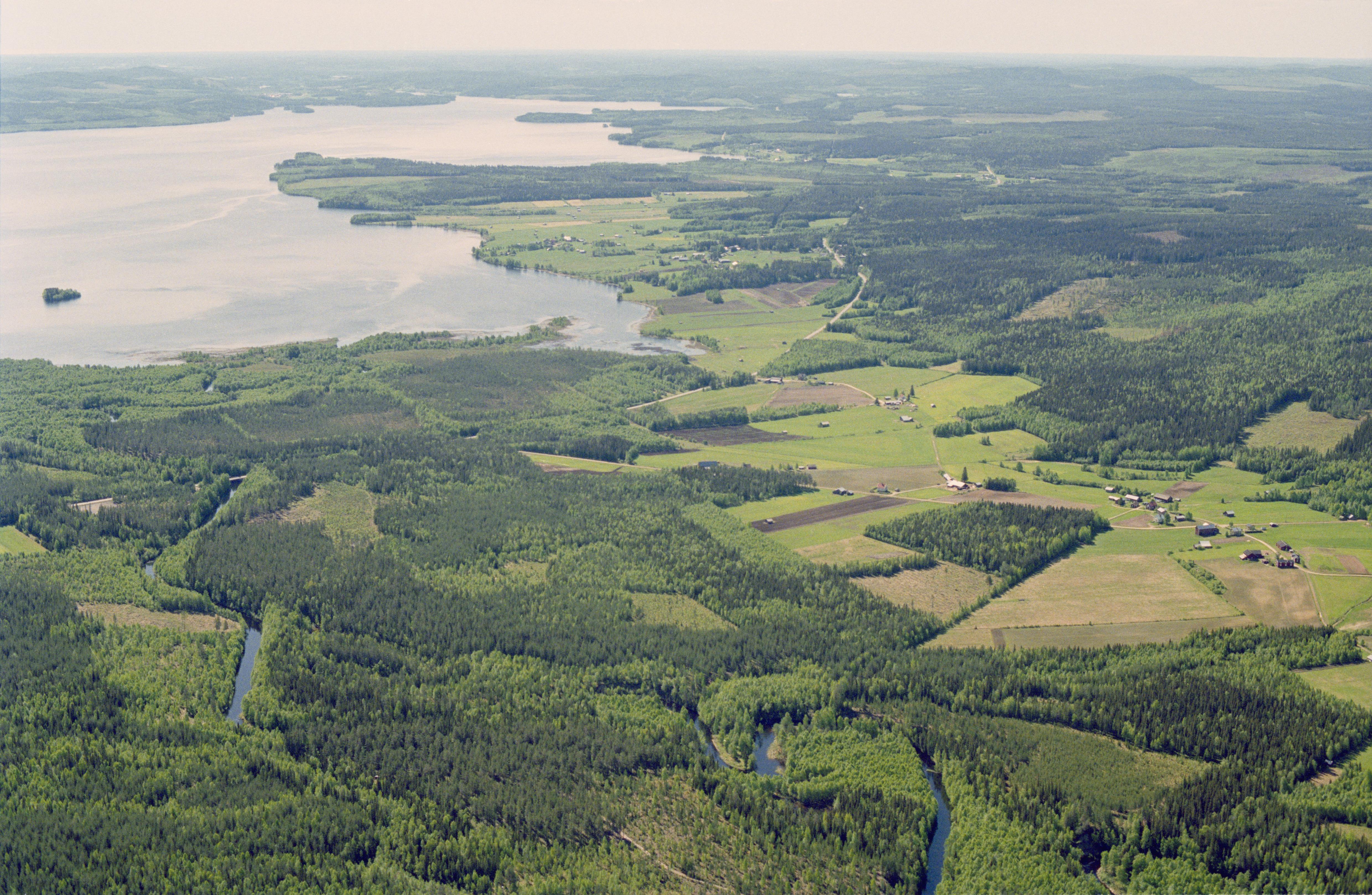 Jan Norrman, Burträsk 212:1