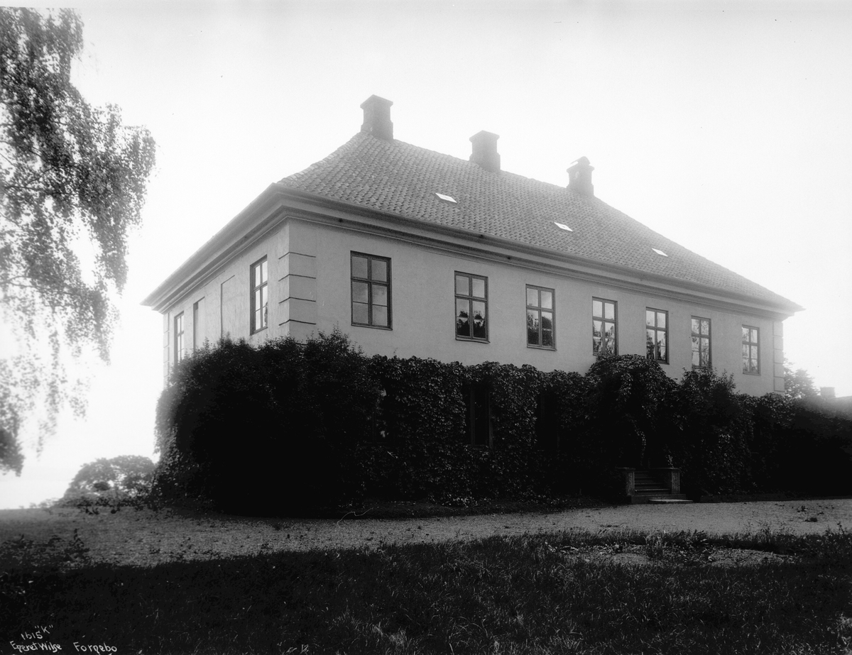 Anders Beer Wilse, Prot: Fornebo Gaard