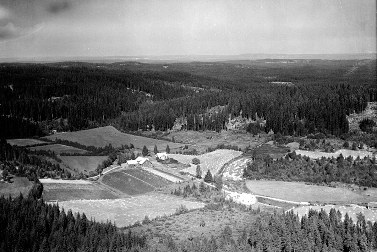 Widerøes Flyveselskap A/S, FLYFOTO Thorsholen 375/2, OMRÅDET ØST FOR HVAL?
