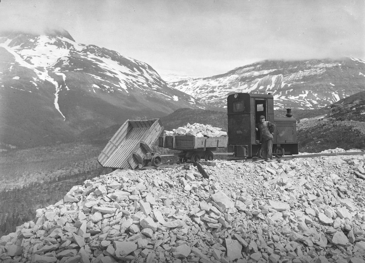 Anders Beer Wilse, Prot: Lønsdal anlegg