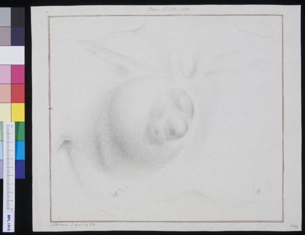 M Houtman, Unidentified subject