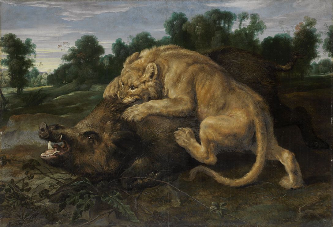 Frans Snyders, A lion killing a boar