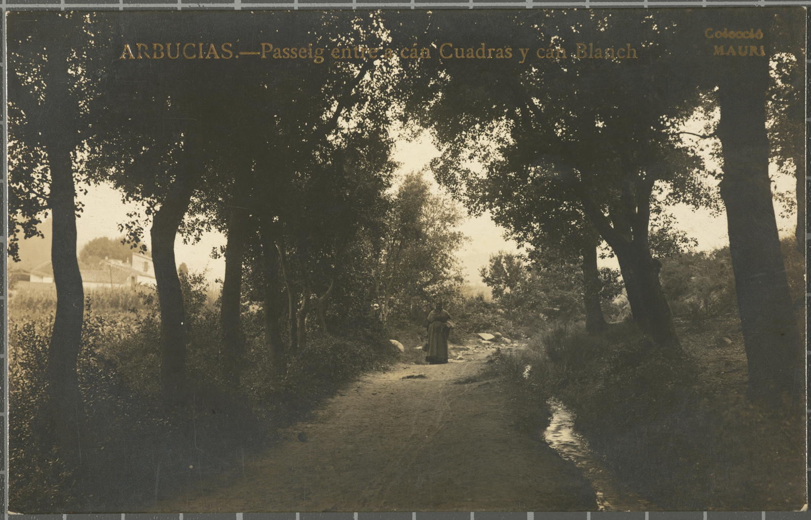 Amadeu Mauri Aulet, Arbucias.-Passeig entre a can Cuadras y can Blanch
