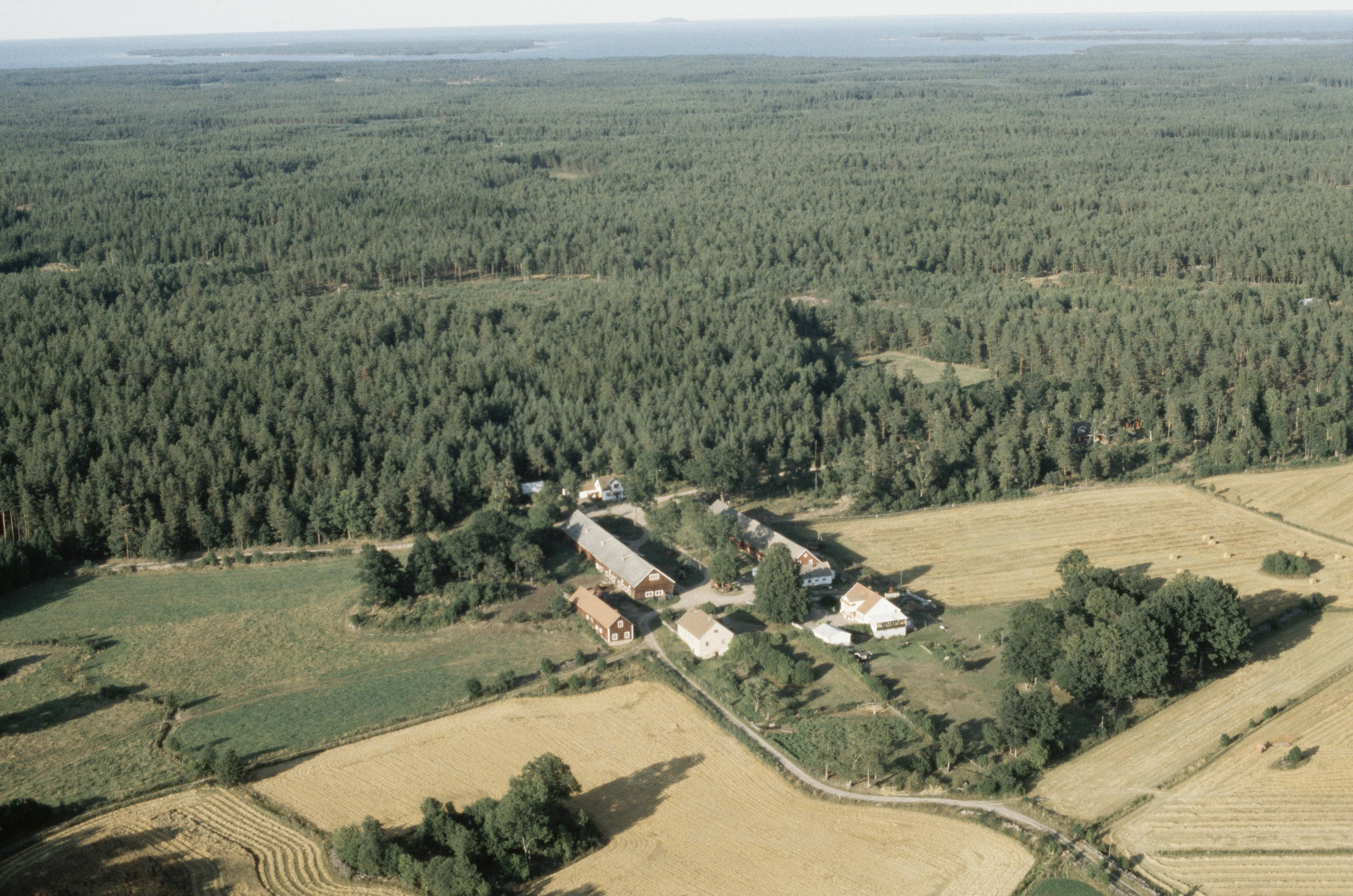 Jan Norrman, Mönsterås 400:1