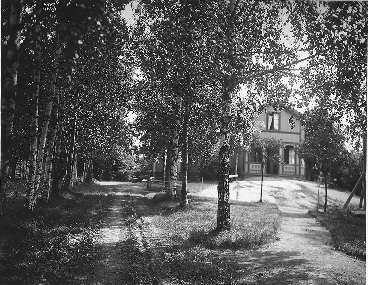 Anders Beer Wilse, Prot: Linthows Villa