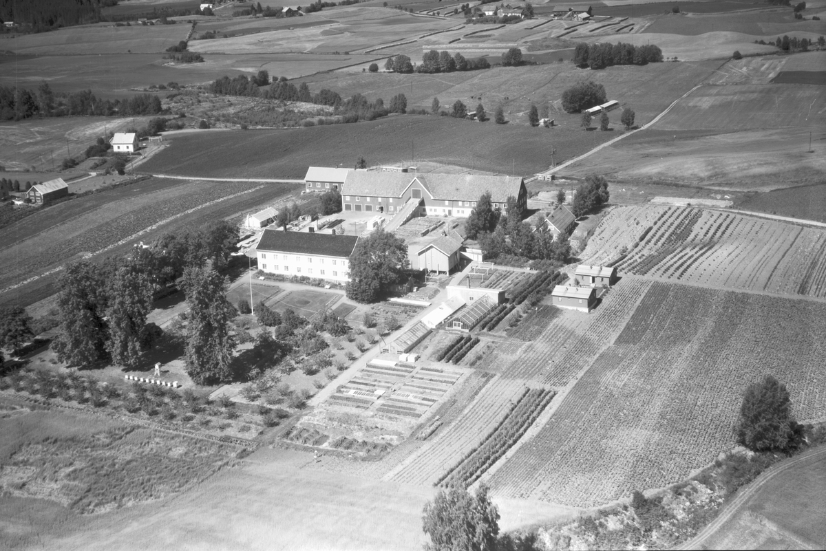 Widerøes Flyveselskap A/S, FLYFOTO BLÆSTAD LANDBRUKSSKOLE