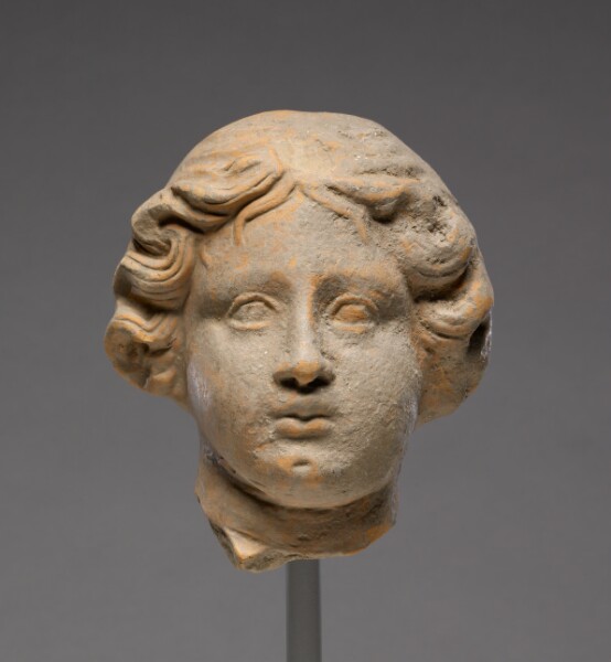 Unknown, Head of a Woman