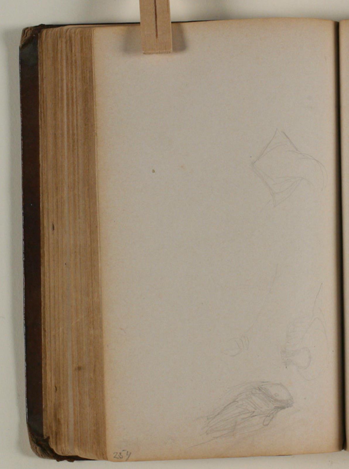 Niels Larsen Stevns, Studier af duer