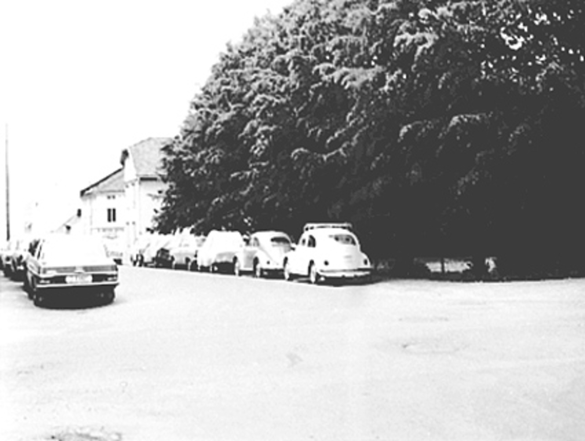 Anno Domkirkeodden, OVERSIKT BEKKEGATA, FRA KRYSSET BEKKEGATA/HOLSETGATE, PARKERTE BILER, TRÆR