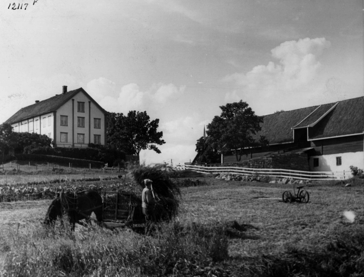 Anders Beer Wilse, Hoel gård Landbruk