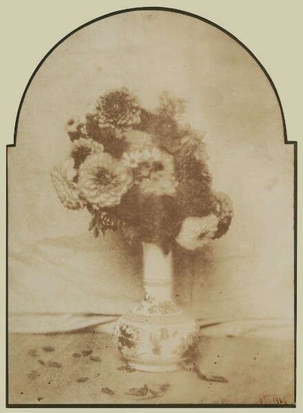Hippolyte Bayard, [Flowers in a Vase]