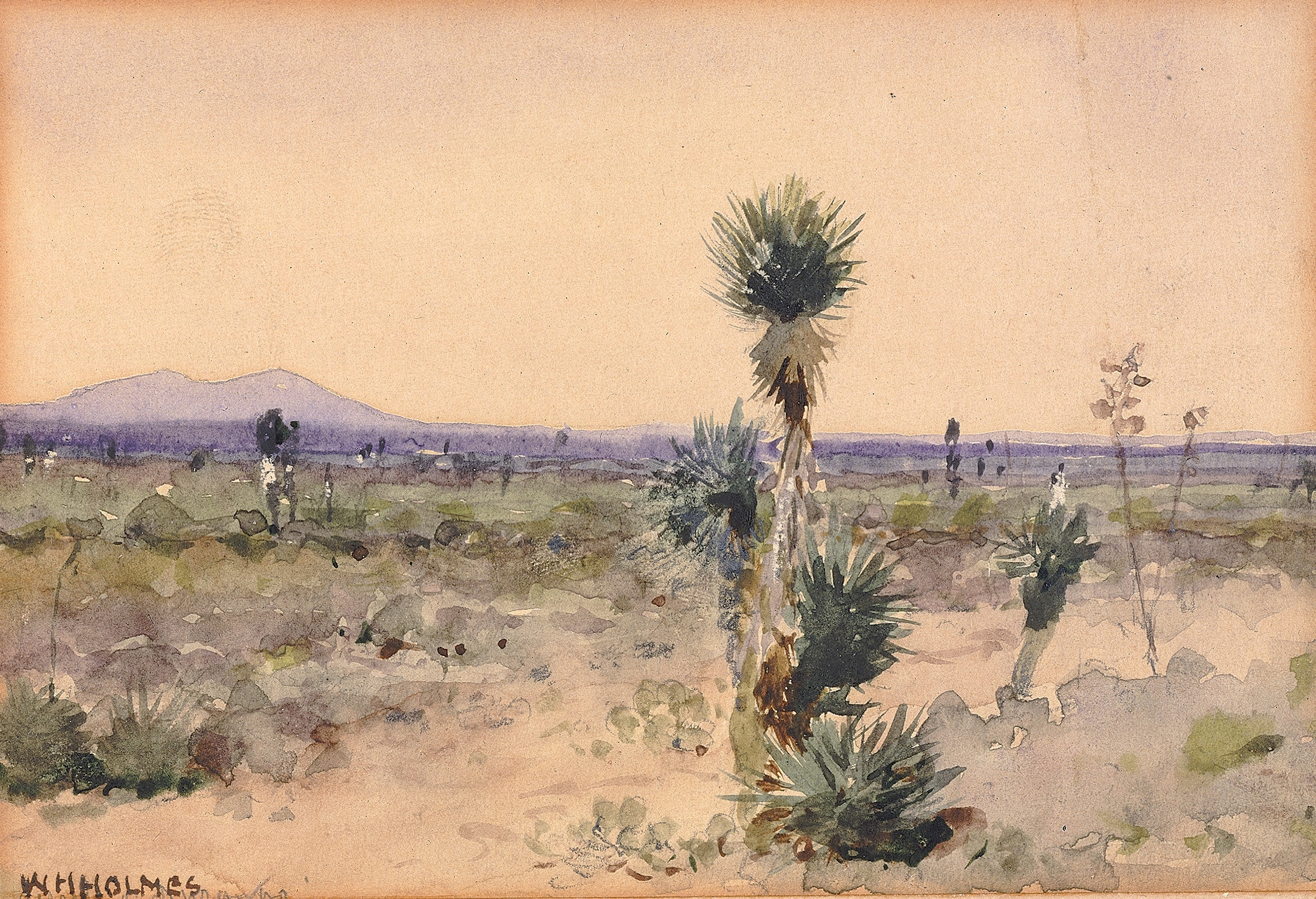 William Henry Holmes, Yuccaland--Chihuahua, Mexico