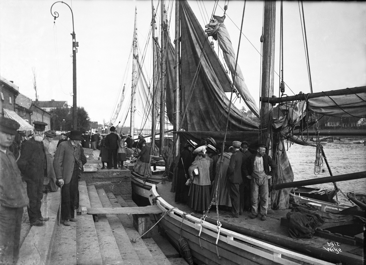 Anders Beer Wilse, Prot: Fredrikstad Fiskebryggen