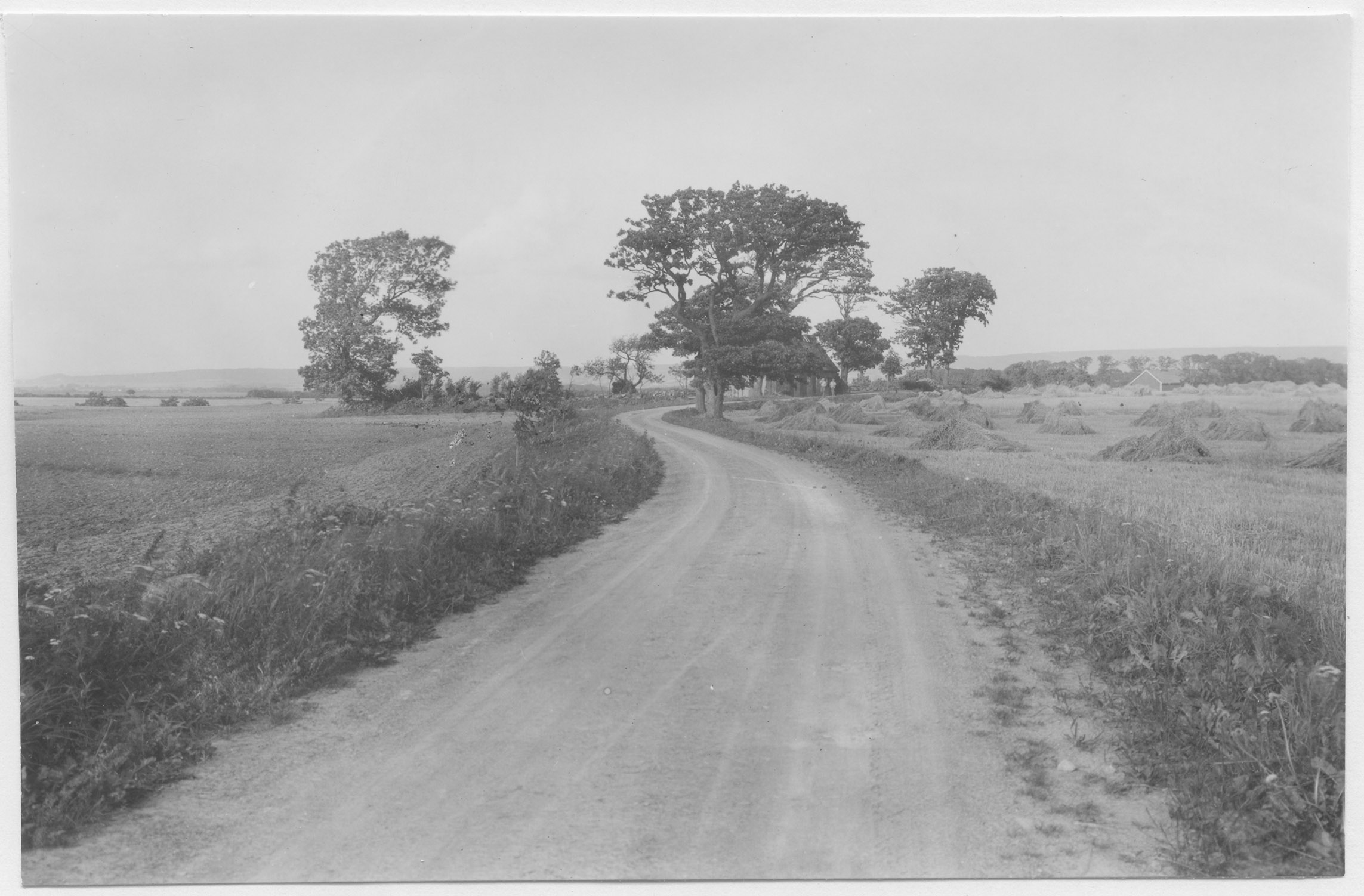 Mårten Sjöbeck, Boserup