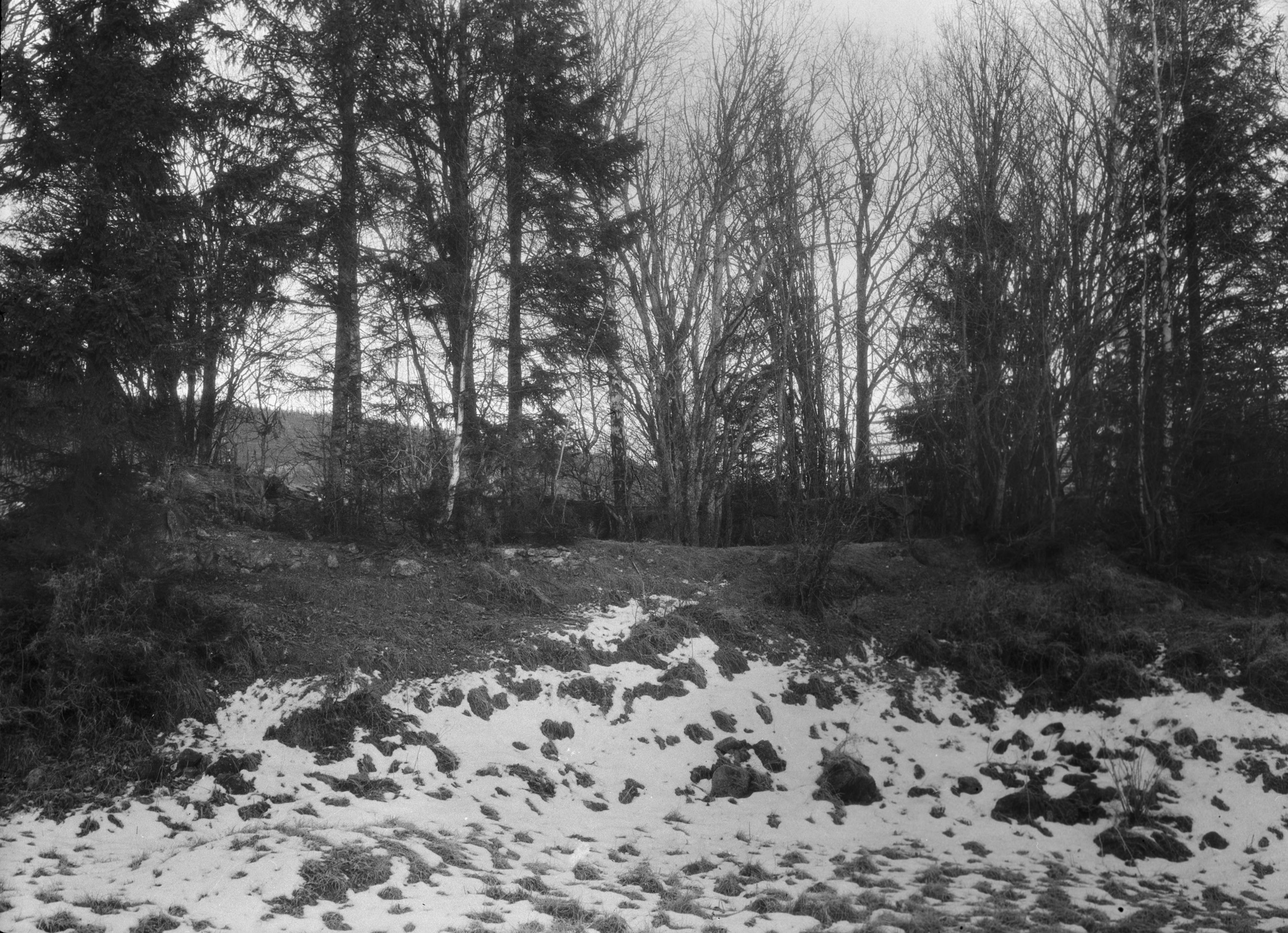 Bertil Berthelson, Bjärtrå kyrkoruin