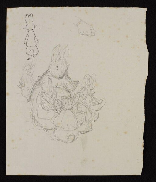 Potter, Beatrix, drawing