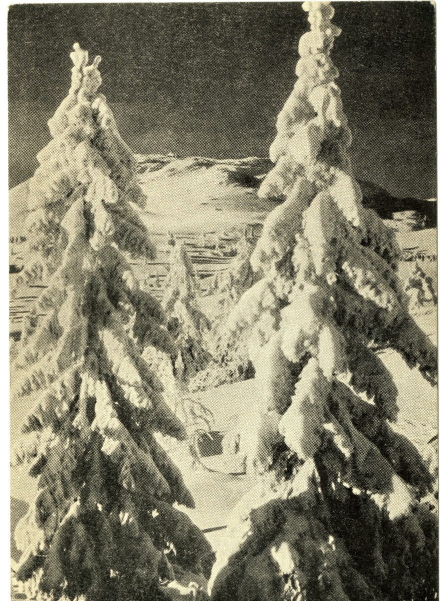 Anders Beer Wilse, Jonsknuten, Kongsberg