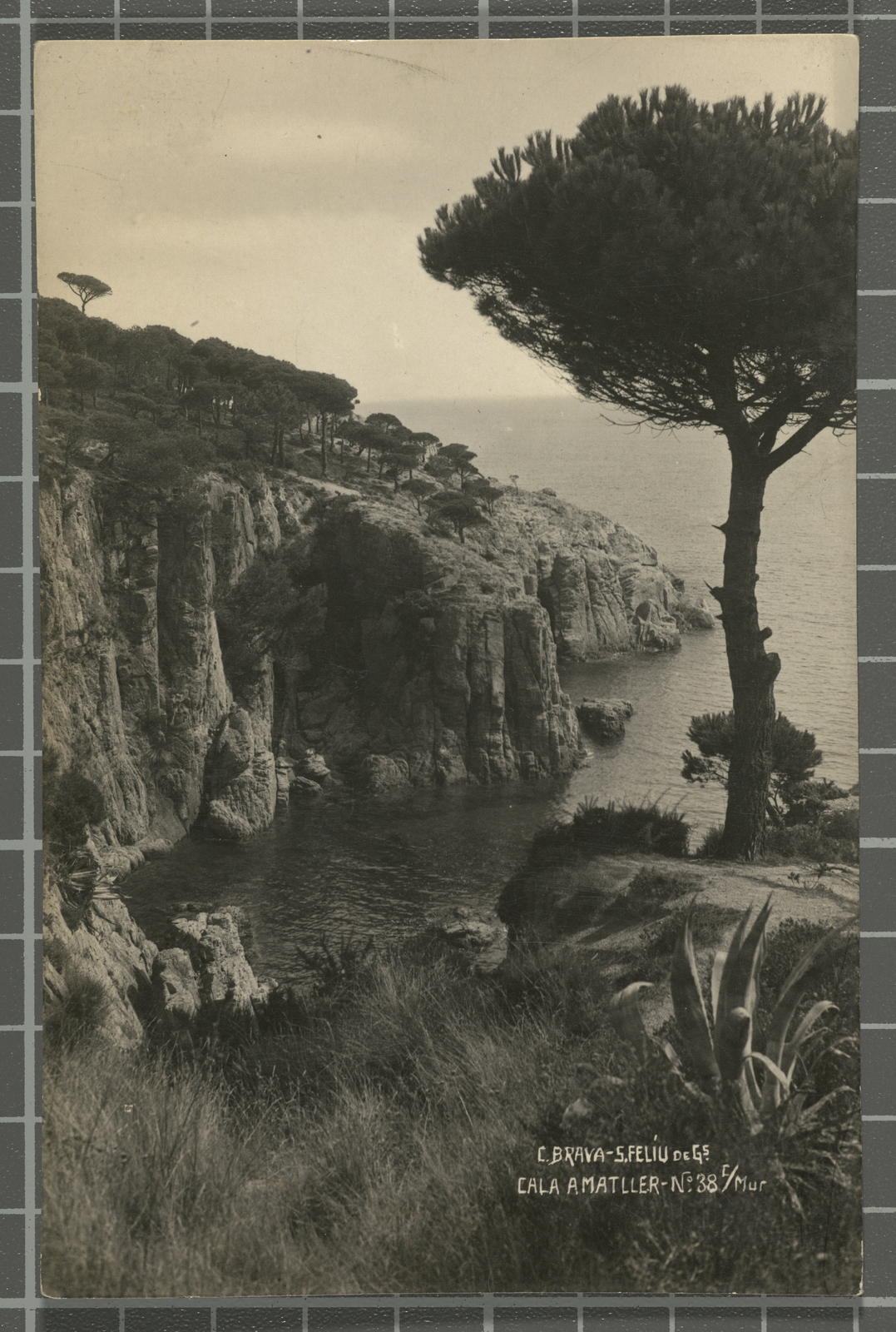 Ricard Mur Dargallo, C. Brava-S. Feline of Gs. Cala Amatller-No. 38