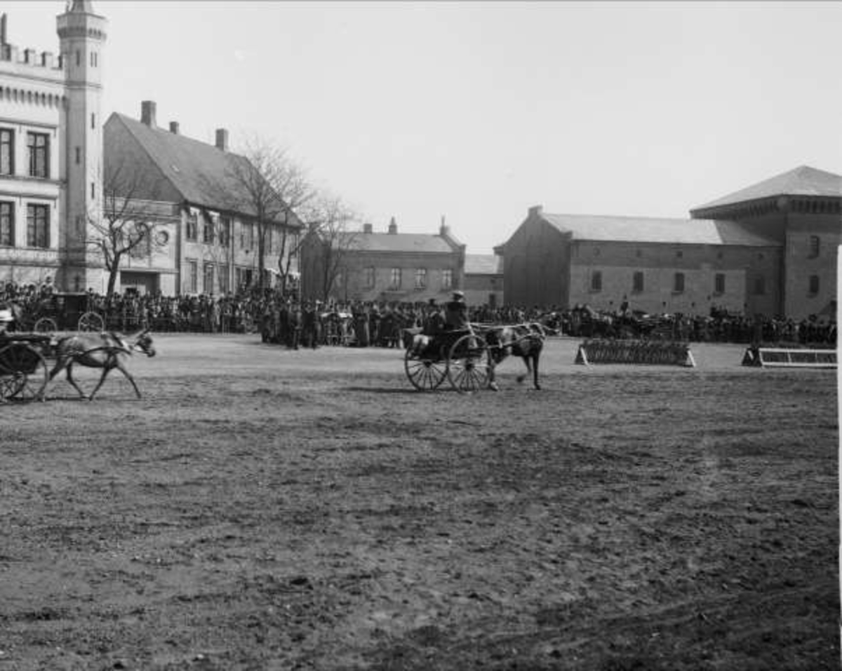 Gustav Borgen, Festningsplassen Akershus festning, Oslo. Militær rideoppvisning.